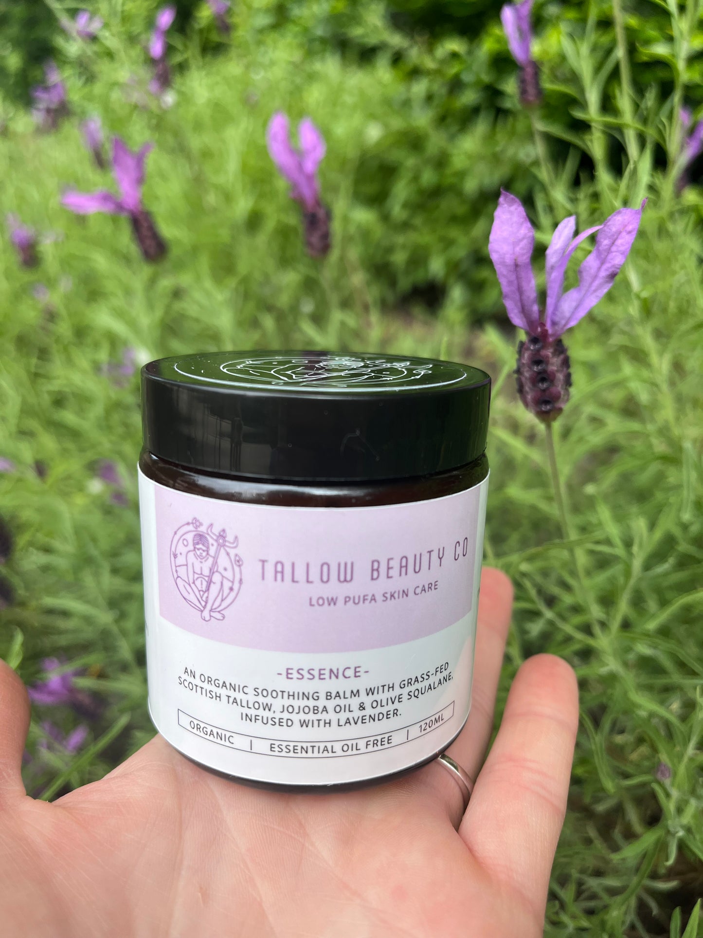 TALLOW BALM INFUSED WITH ORGANIC LAVENDER, ESSENCE120ml