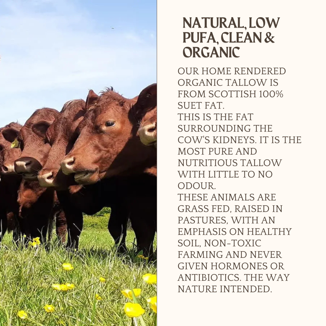 TALLOW BALM ORIGIN Tin 60ml